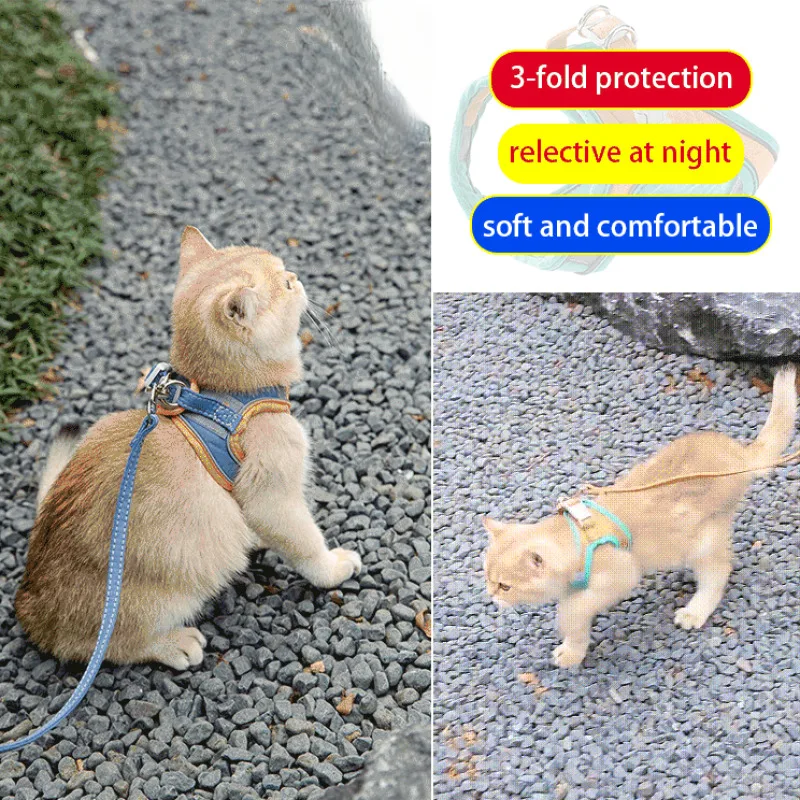 Cat leash vest chest strap to prevent breaking out cute dog leash for walking cats and dogs special rope