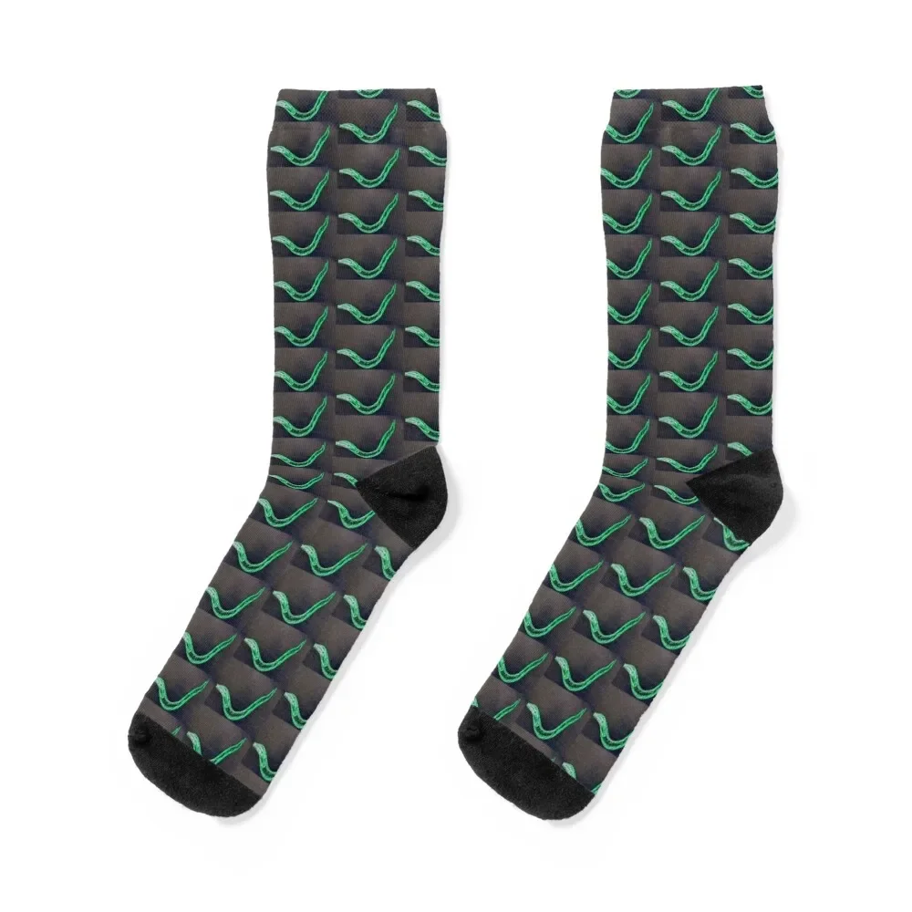 

Green Worm Socks sheer kids FASHION Men's Socks Luxury Women's