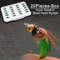 20 Piezas - con Caja para Moscas
