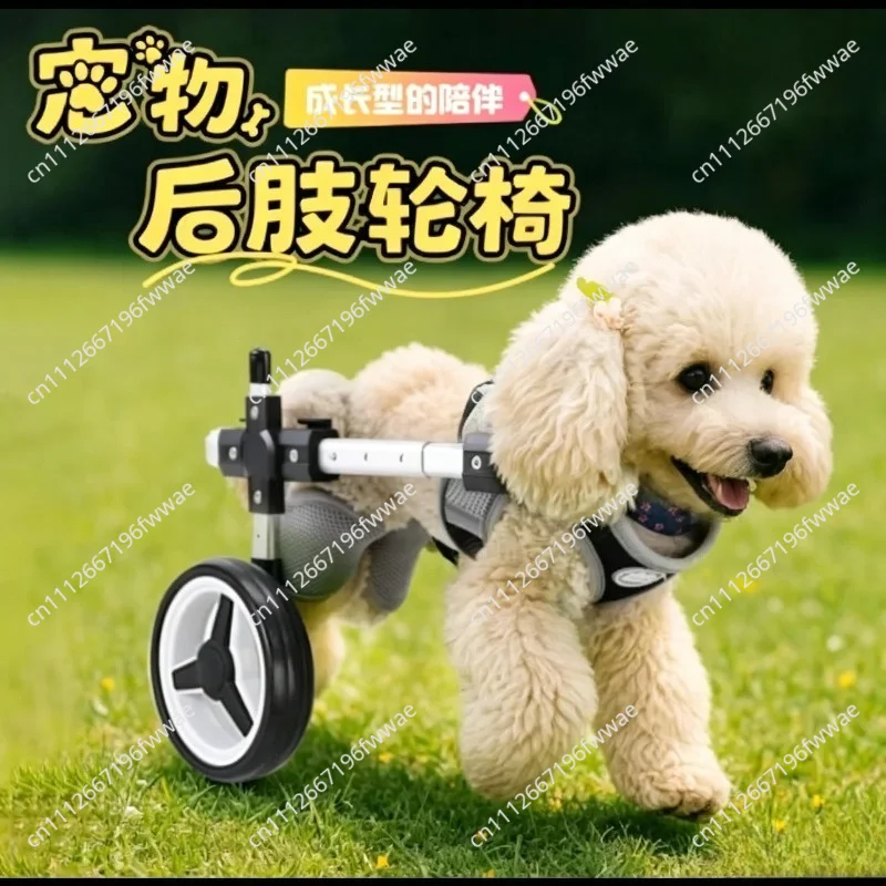 Dog Wheelchair for Hind Leg Support - 4-Wheel Adjustable Pet Rehabilitation Scooter