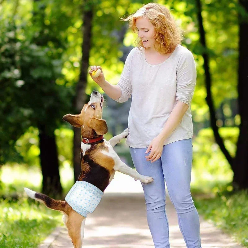 Super Absorbent Pet Diapers 4