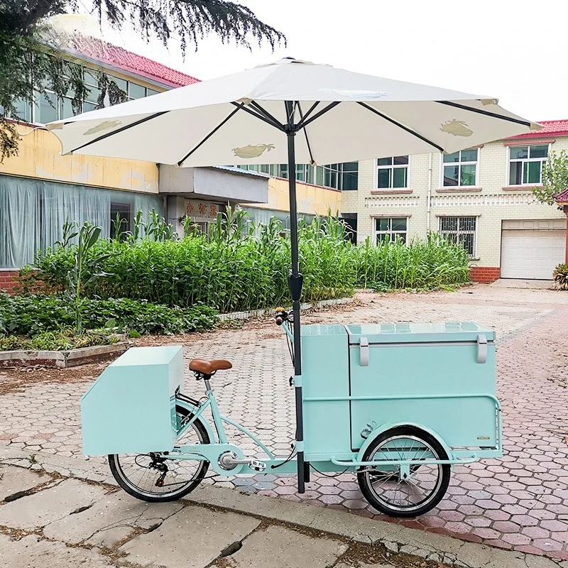 

Human pedal tricycle refrigerator car street scene stall ice cream cold drink takeaway car