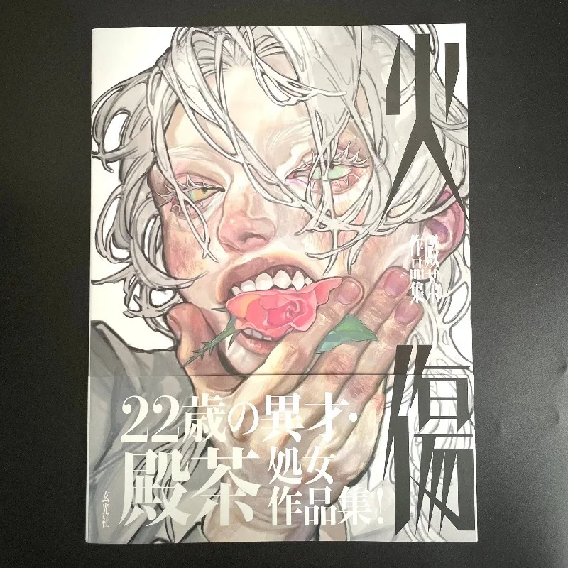 

Burn Art Book Tonocha Illustration Collection Japanese Edition Artwork Exquisite Thick Brushstrokes Portrait Tension