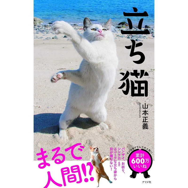 

Tachiko Standing Cat Masayoshi Yamamoto Natsume Company 9784816365959 Book