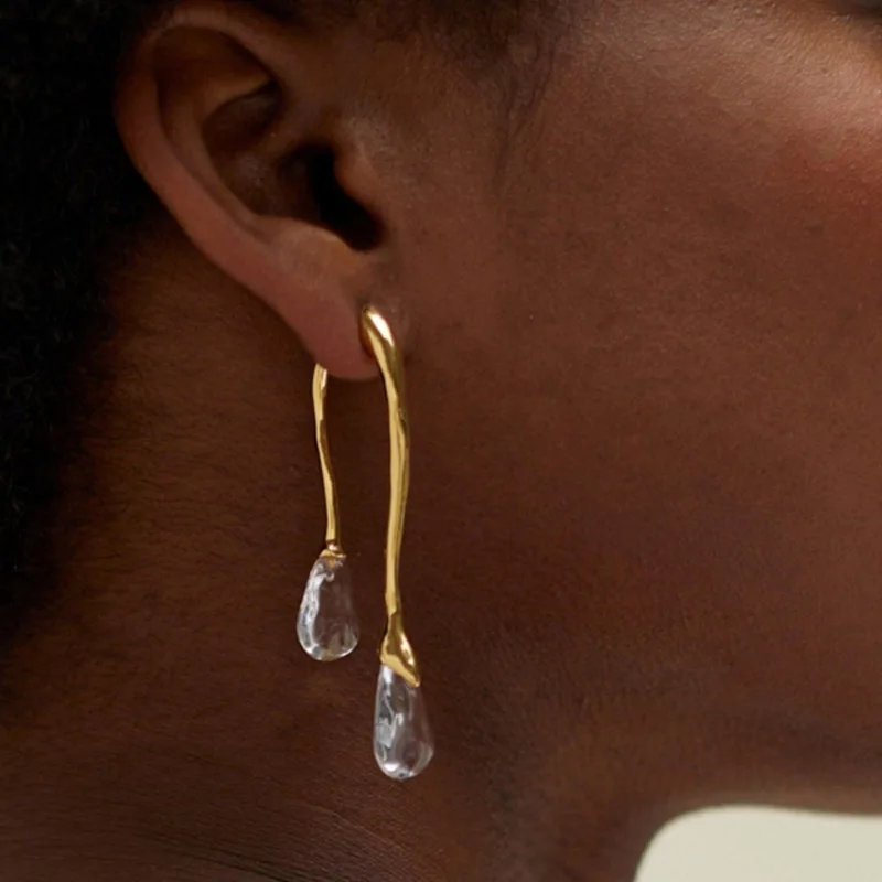 Fashion Jewelry 925 Silver Needle Resin Teardrop 2024 Trend New Back Front Dangle Earrings Hot Selling For Women Gift