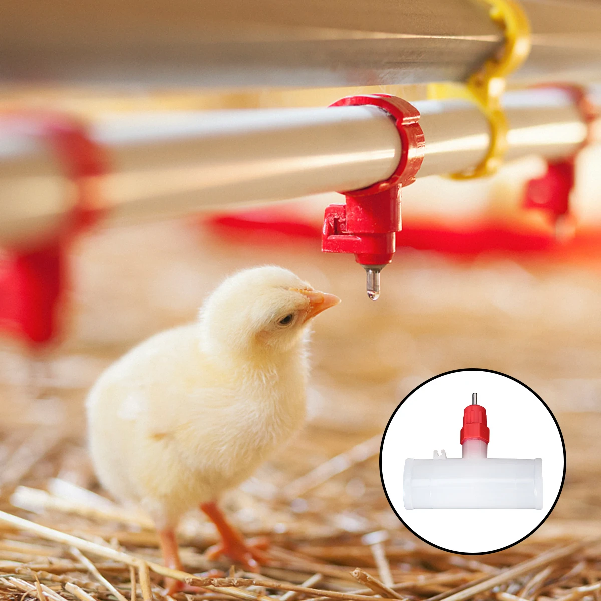 

20pcs Automatic Drinking Fountain for Chicken Birds Water Dispenser Nipple Durable Plastic Steel Easy Clean Farm Poultry