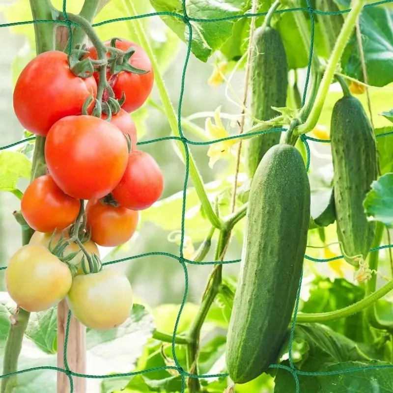 Plant Trellis Pergolas, Heavy-Duty Polyester Grow Net, Garden Netting With Square Mesh For Climbing Plants, Vegetables