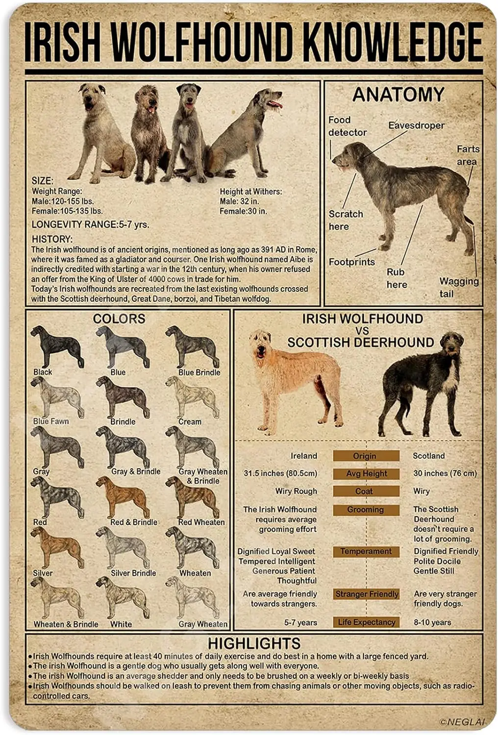 Affiche en métal sur le thème du chien de chasse irlandais, décoration murale vintage, décorations de ferme, 16x12 pouces