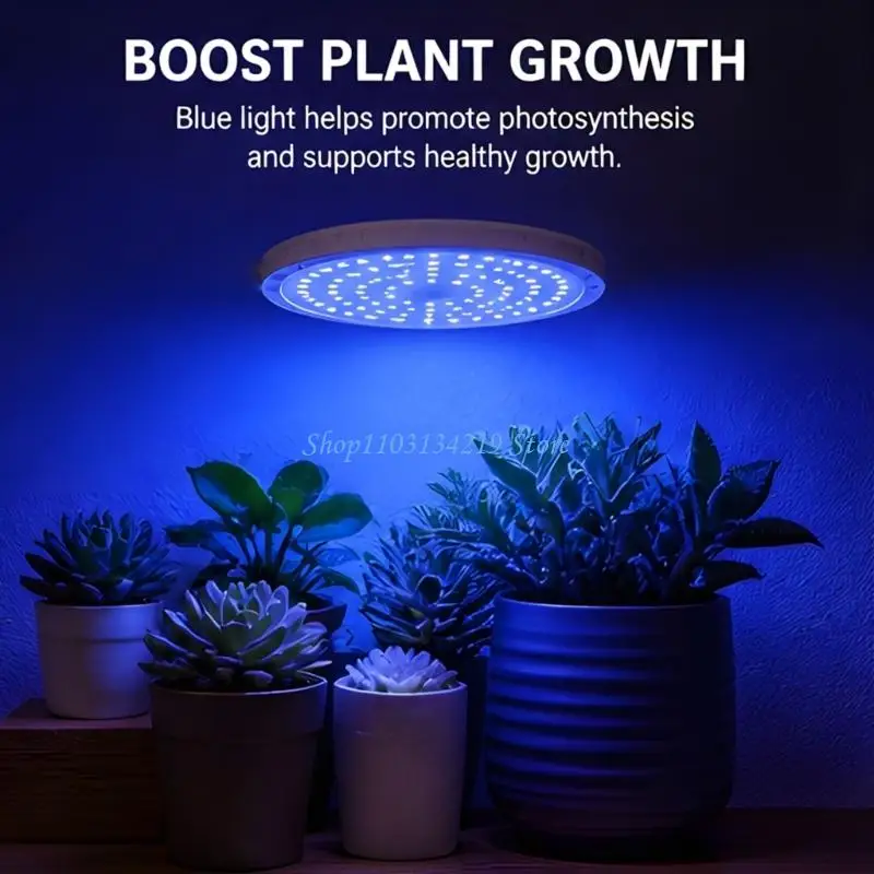 N5KC Round Blue Light Lamp with Adjustable Support Bracket for Rooms