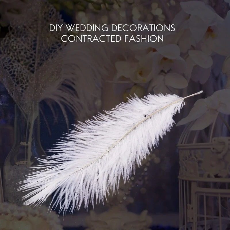 

white10 Pieces White Natural Ostrich 20-25cm Wedding DIY
