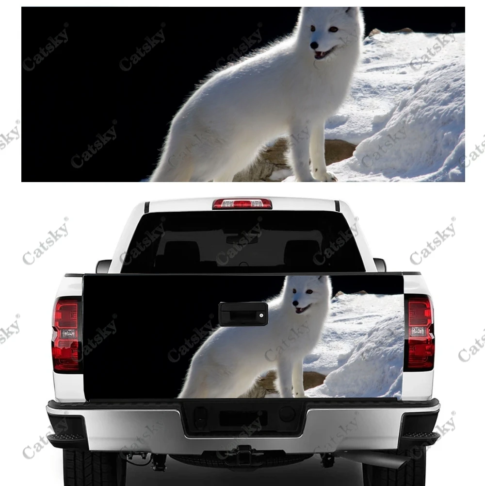 

Наклейка на заднюю панель автомобиля, модификация внешнего вида