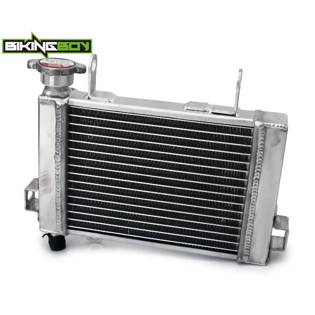 BIKINGBOY Für Honda CBR125R 04 05 06 07 08 09 10 11 12 13 14 15 16 17 18 19 21 CB125R 18-24 Kühler Motor Kühlwasserkühler – Detail 6