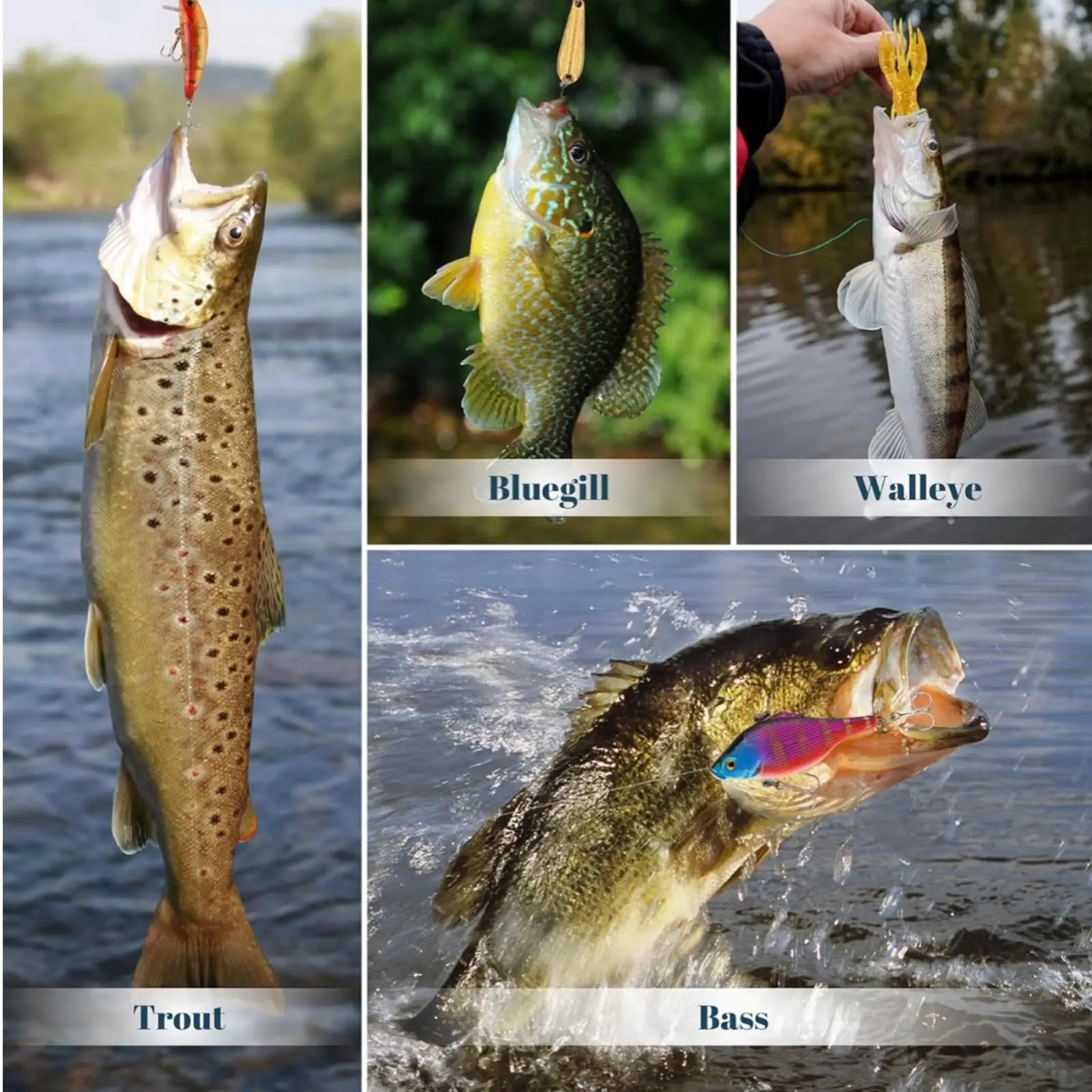 conto-alla-rovescia-natalizio-per-la-pesca-dell'avvento-conto-alla-rovescia-di-24-giorni-per-il-kit-di-pesca-con-esca-natalizia-kit-di-esche-per-la-pesca-festiva-per-il-marito