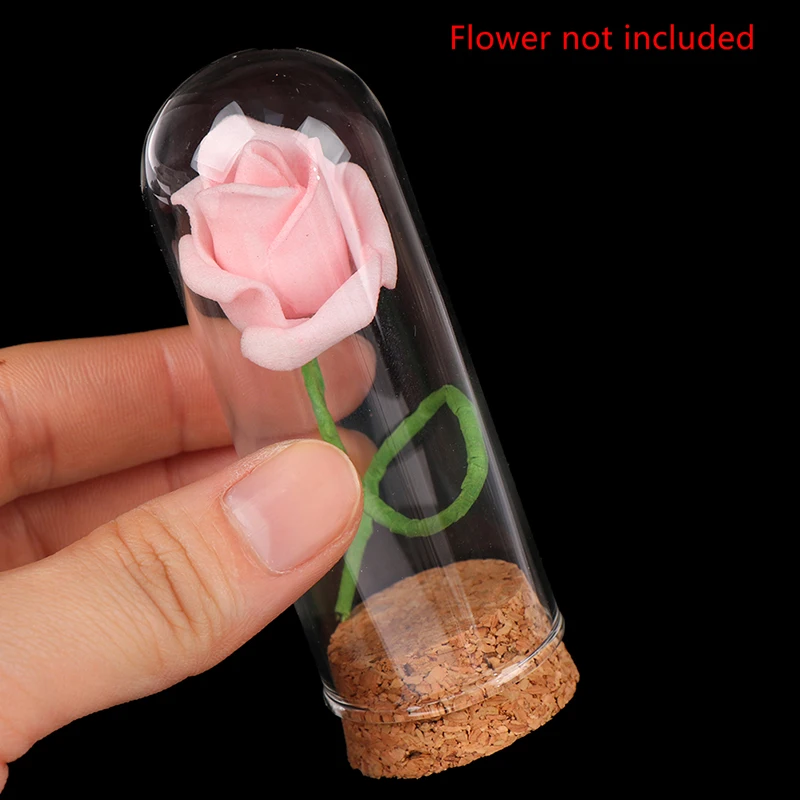 1/6 دمية زجاجية قبة عرض جرة جرس الفلين الخشبي مع قاعدة خشبية لتزيين الحرف اليدوية