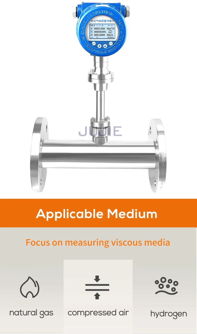 Thermal Mass Flowmeter Flow Meters for Natural Gas Hydrogen Oxygen Nitrogen Compressed Air RS485 4-20mA