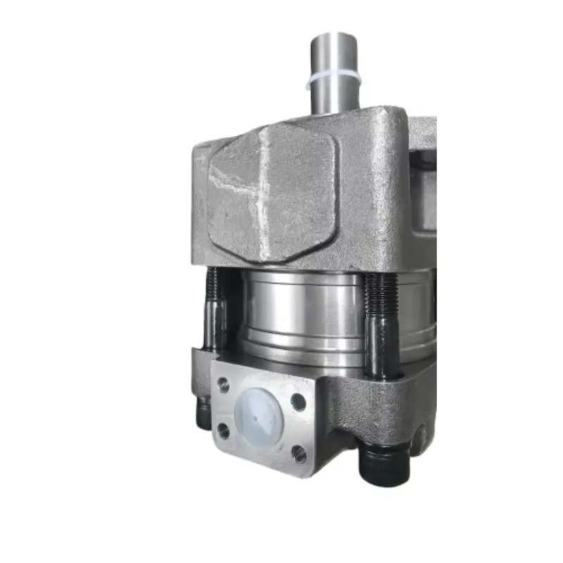 Hydraulic Oil Pumps QT42 QT52 QT62 QT52-63 Series QT53-63F-BP-Z QT62-125F-BP-Z Hydraulic Gear Pump for Injetion Molding Machine