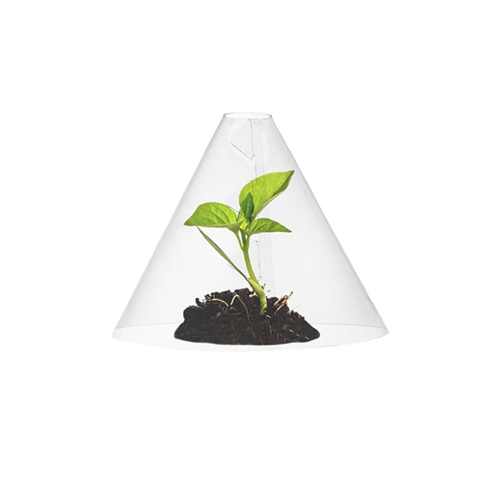 

10 Pcs Conical Plant Covers Transparent Frost Protection for Seeds Vegetables Safe from Animals Cold Wind Snow Garden Use