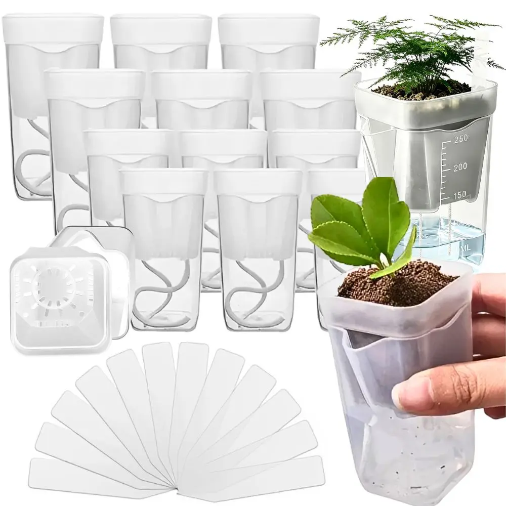 16/32pcs Visible Reservoir Self‑Watering Plant Pot, Clear Square Plastic Planter with Water Wick for Balcony Small Plants YMY
