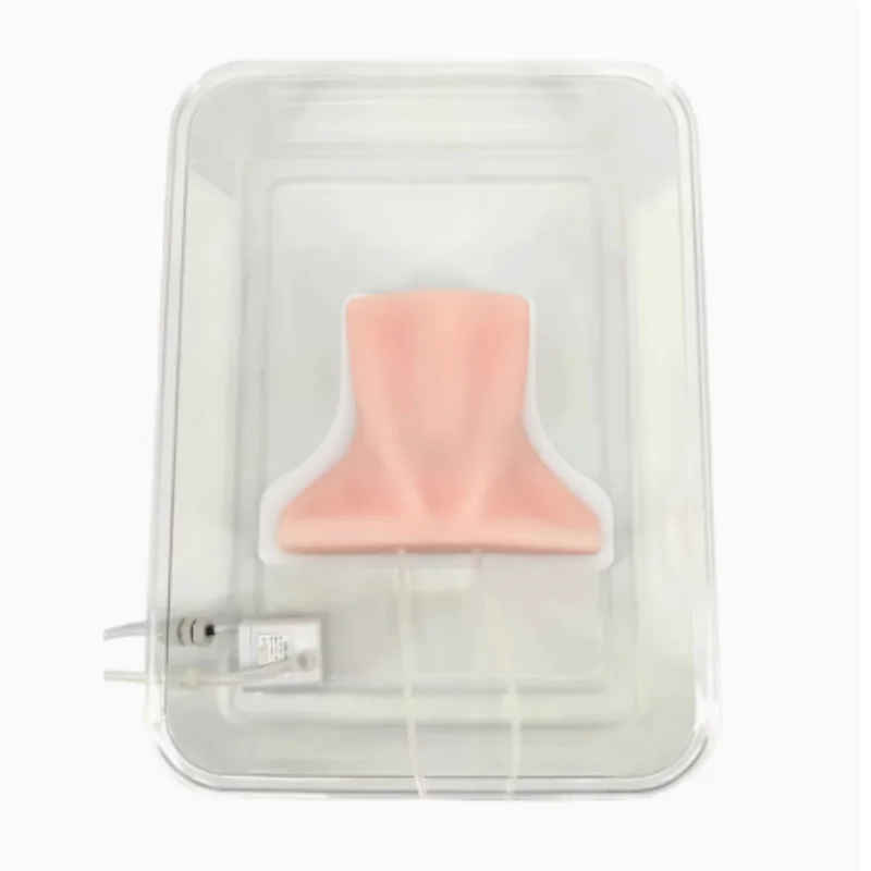 

Ultrasound guided thyroid puncture module Ultrasound thyroid puncture biopsy model