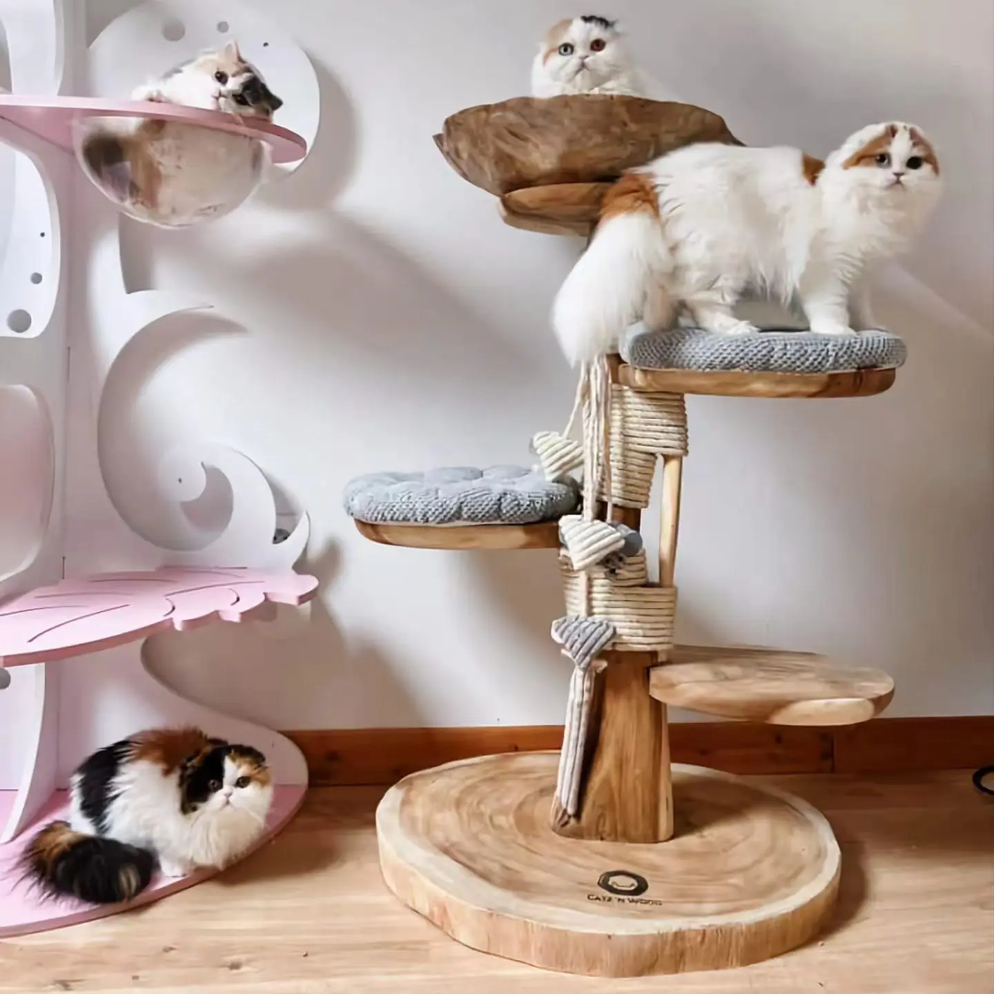 XIANGLONG Modern Cat Tree Multi Level Natural Wood Cat Tower Unique Design Easy Climb For Small Cats