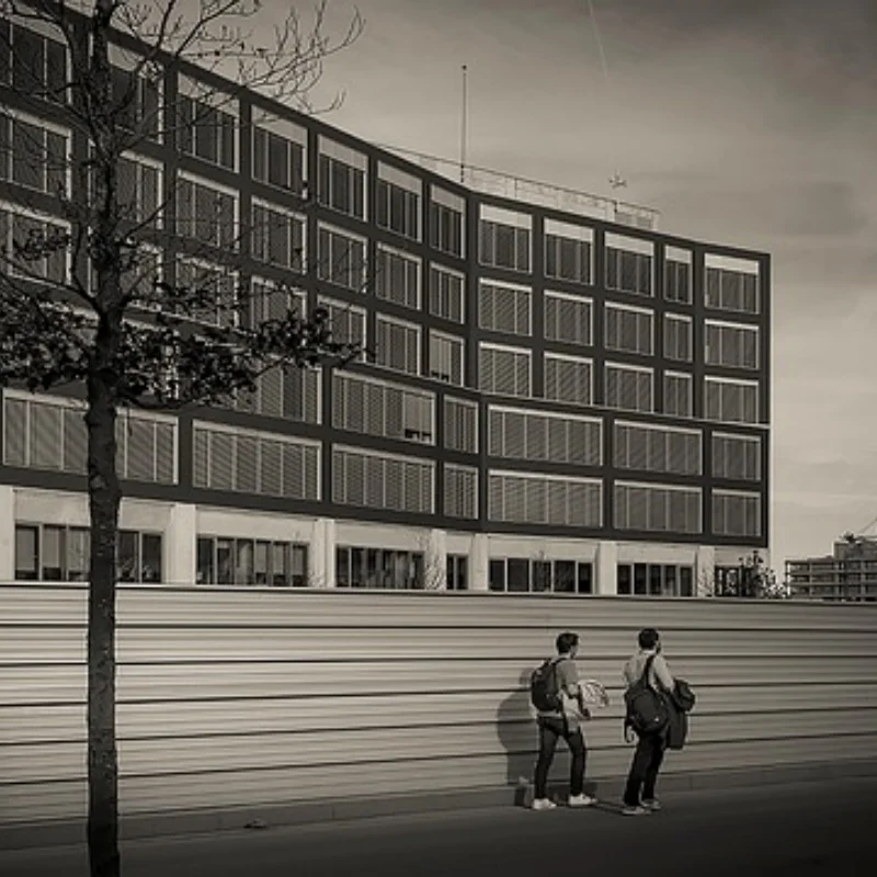 

Обновленный металлический амортизатор для запасных частей для радиоуправляемых автомобилей HB ZP1001-02-03-04