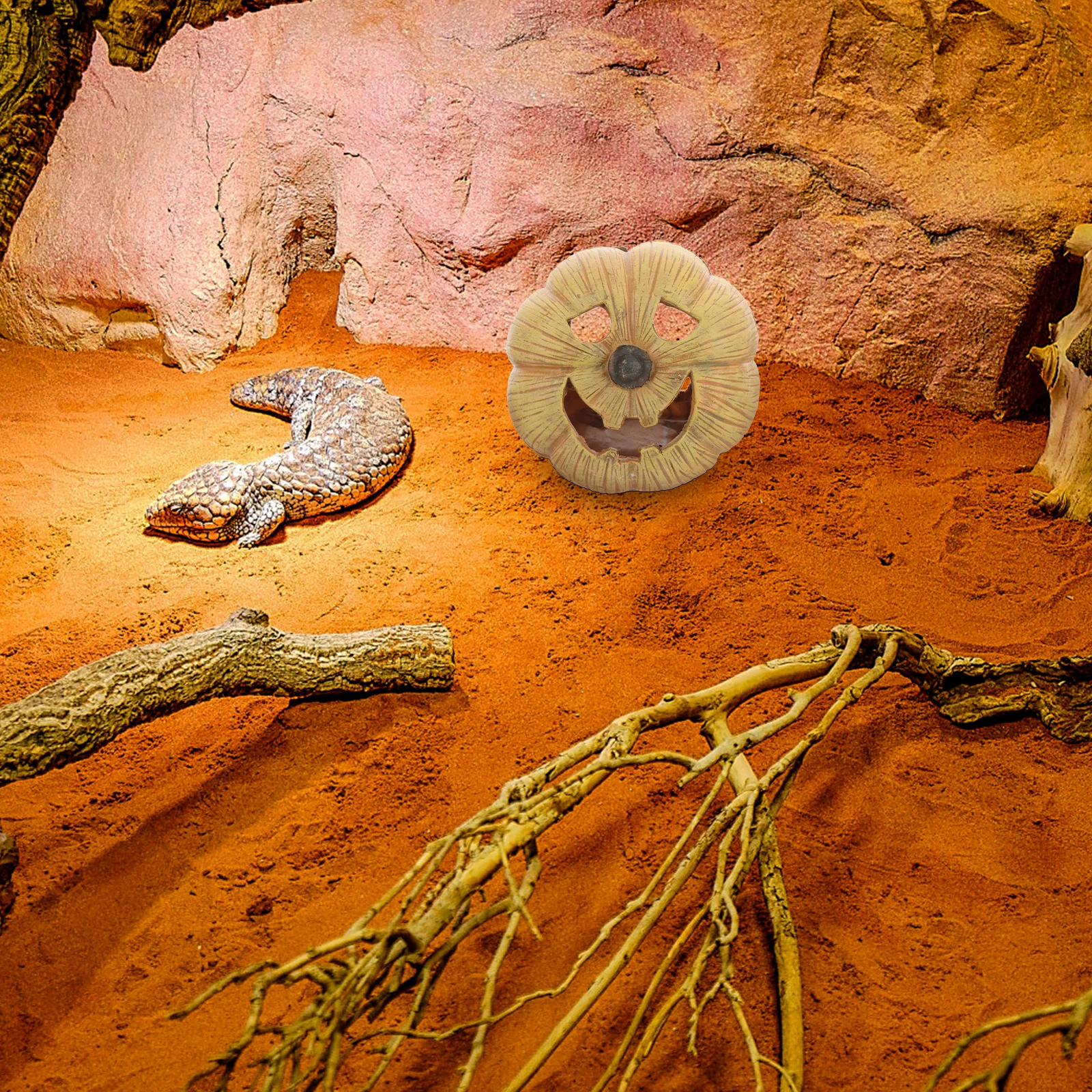 

Resin Reptile Hideout Cave Pumpkin Shaped Creative Stone Adornment Small Pets Safe Hiding Place Tank Decor Reptile Hide