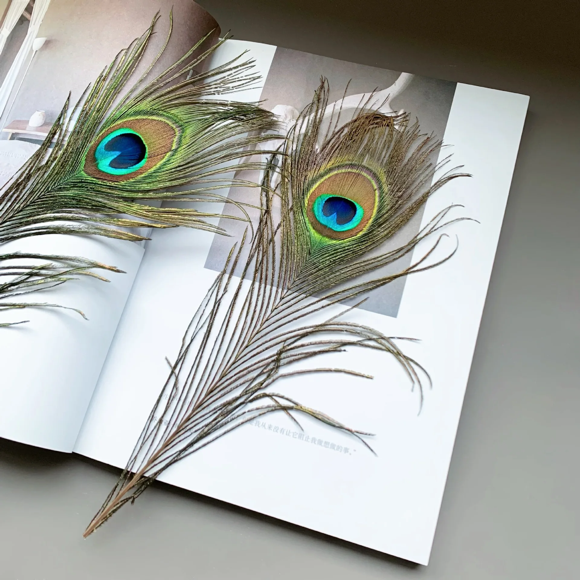 Natural Peacock Feather Feathers Big and Small Eyes 25–50cm for Home Vase Decoration Stage Costume DIY Craft Factory Supply