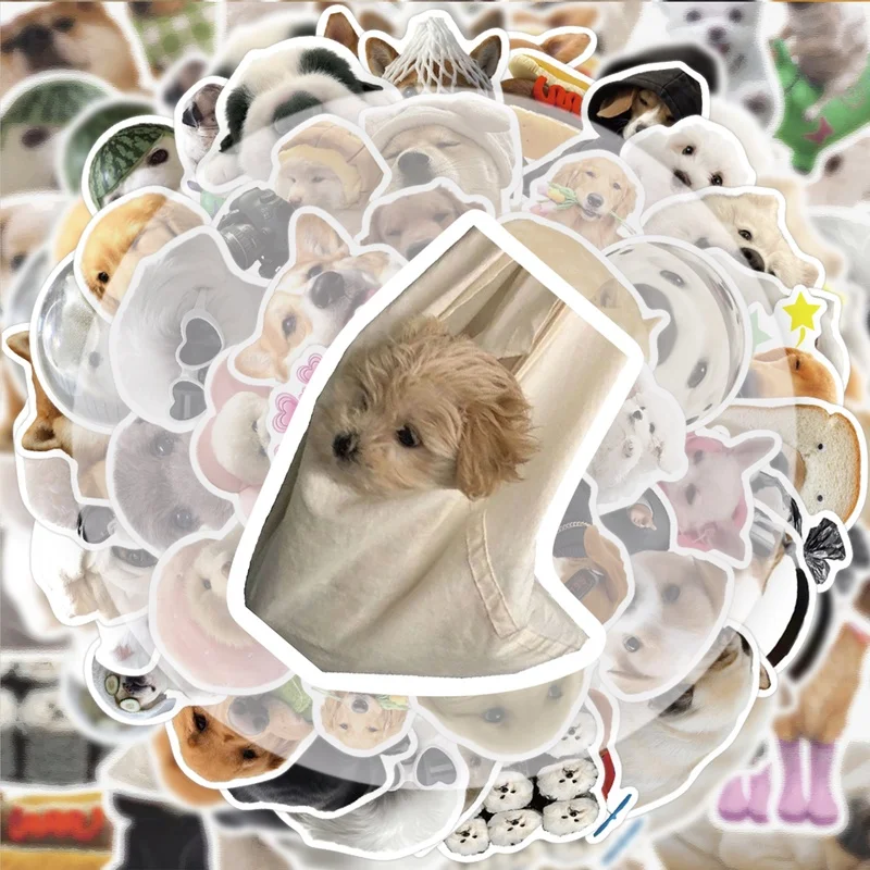 50 ملصقًا ممتعًا للكلاب، شارات لاصقة نابضة بالحياة، أنماط متعددة بدون مكررة، مناسبة لزجاجات المياه وأجهزة الكمبيوتر المحمولة وحقائب السفر وألواح التزلج والقيثارات وديكورات الحفلات