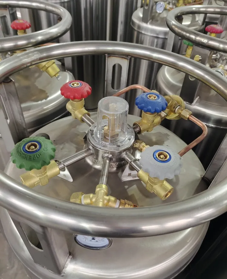 Accessori per bombole di gas per veicoli a gas naturale LNG kit di riparazione del nucleo della valvola a globo del volantino kit di riparazione del volantino della bottiglia di Dewar