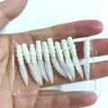 XZ017 20pcs  WHITE