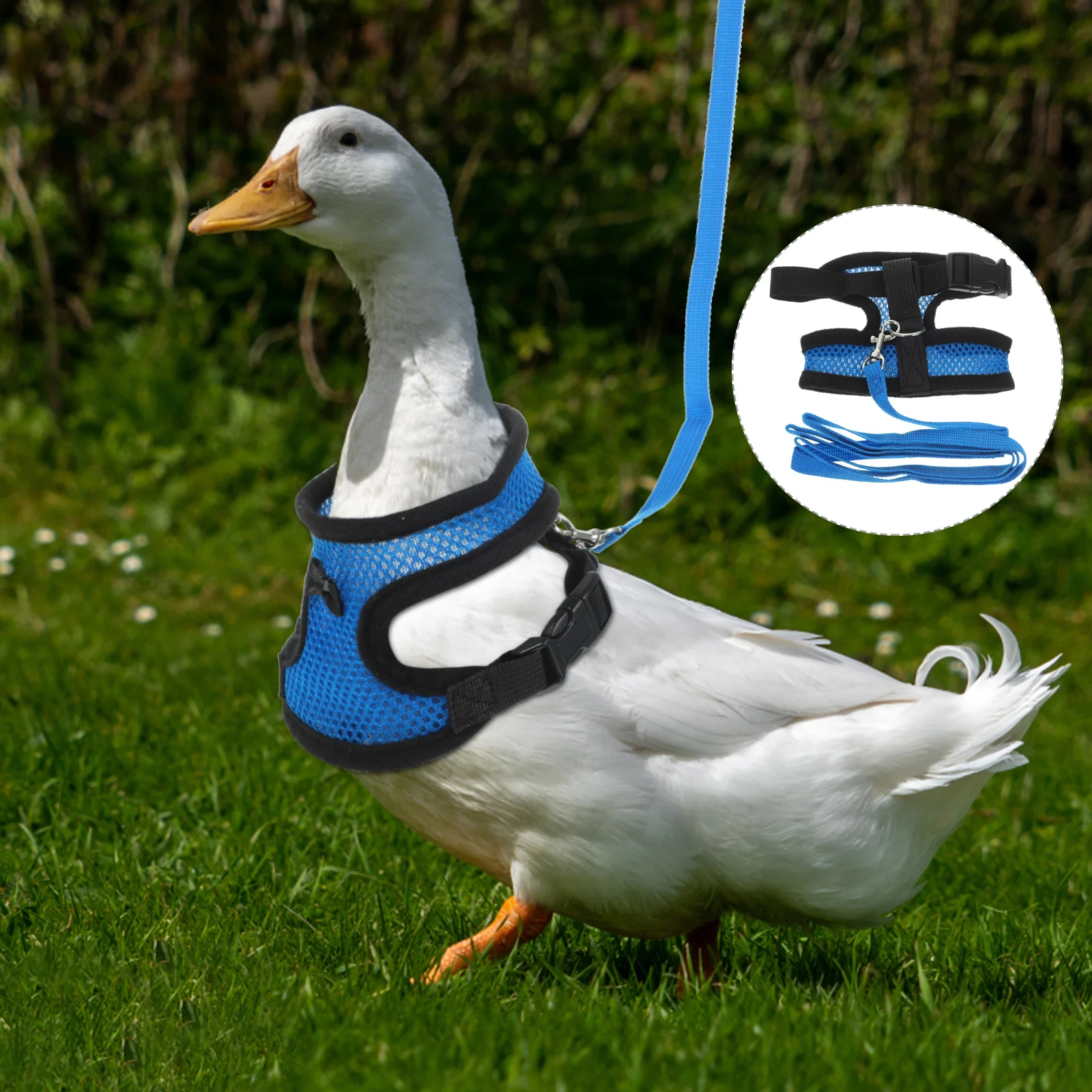 Chicken Walking Harness Duck Goose Vest Breathable Adjustable Geese Pulling Rope