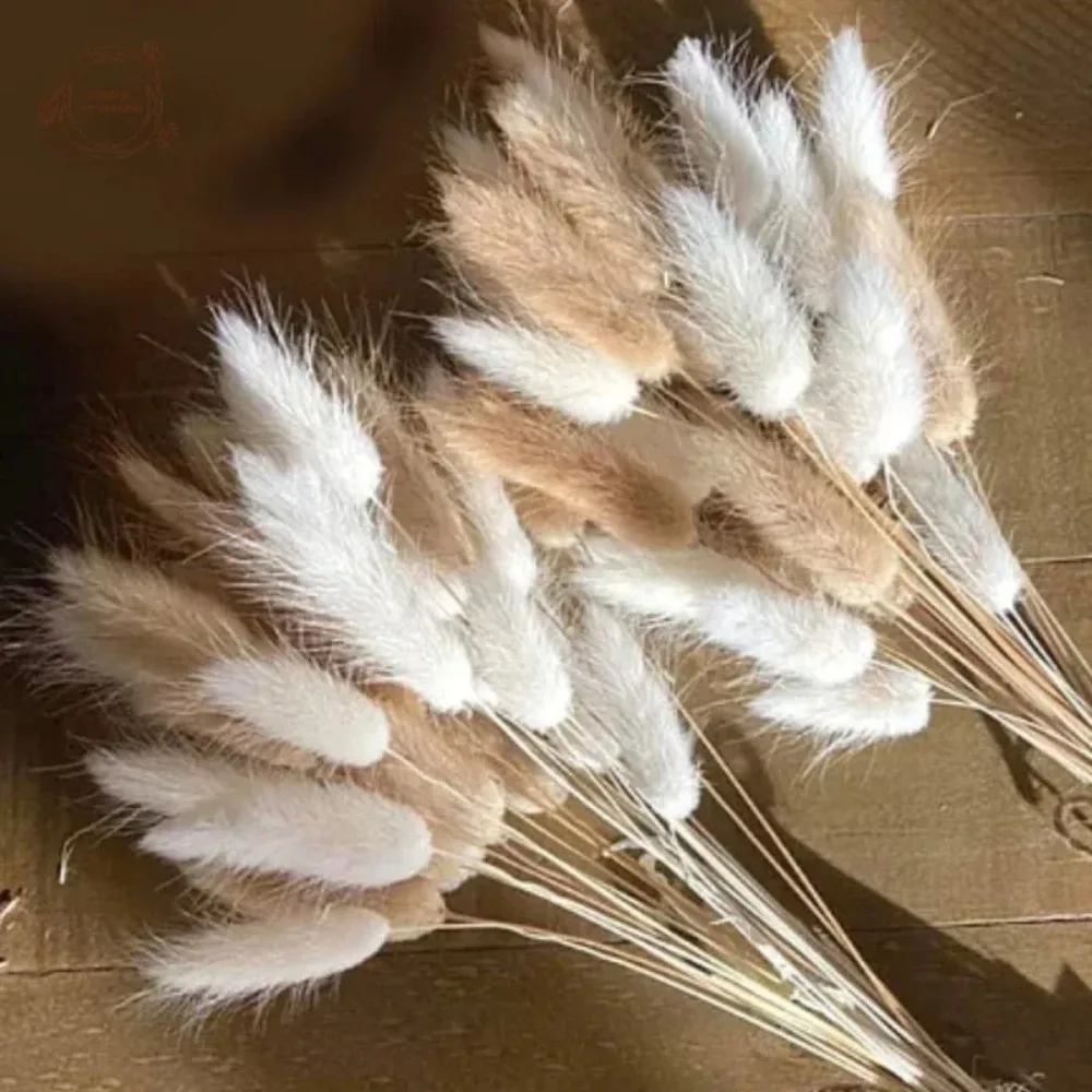 60pcs Dried Flowers Rabbit Bunny Tails Grass Mix Bouquets Wedding Party Decoration Natural Fluffy Lagurus Ovatus Boho Home Decor
