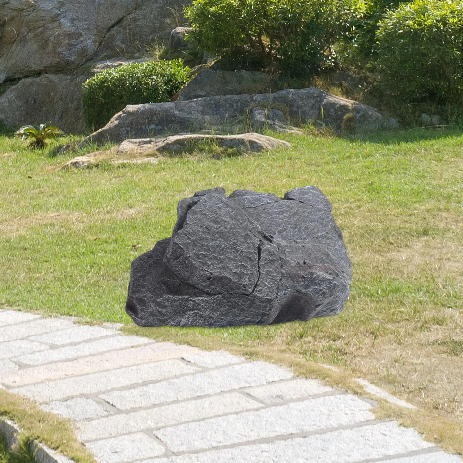 No image