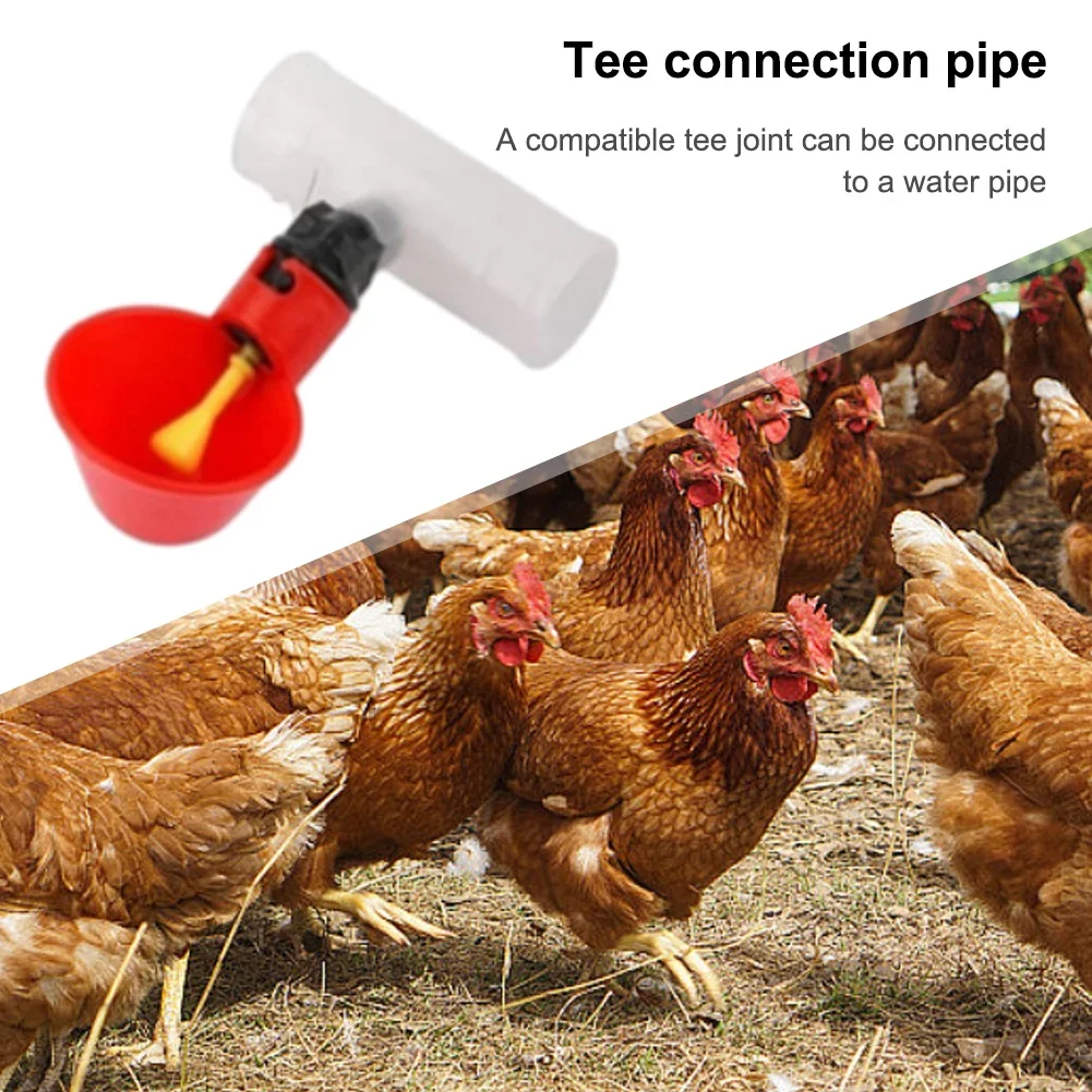 6-30PCS Automatic Chicken Drinker Bowl Bird Water Cups PVC Tee Fittings 20/25mm Plastic Livestock Drinking Feeder Tee Connector