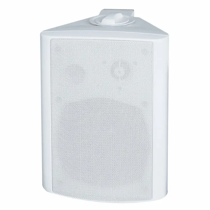 wall Active  WIFI speaker 20W to 60W Built-in power amplifier and wireless WIFI Bluetooth player