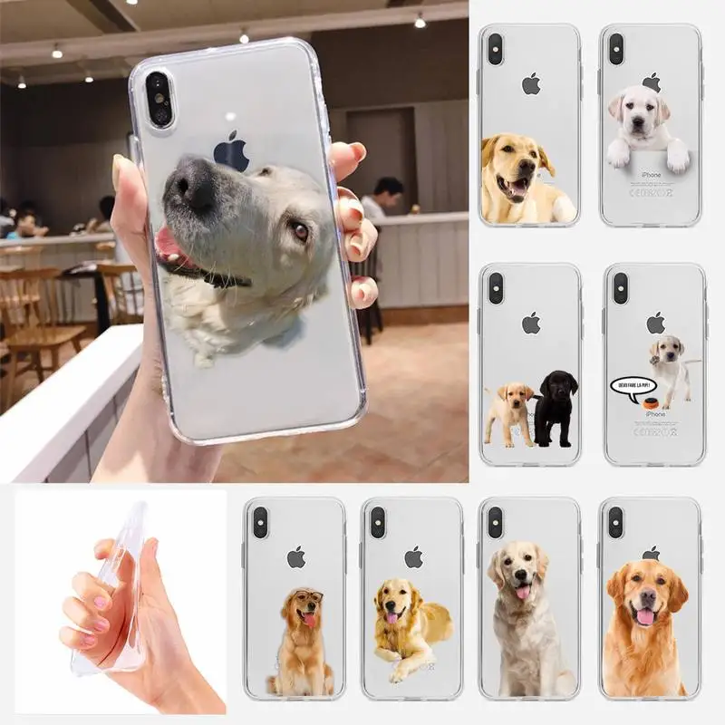 Golden Retriever Dog Phone Case For Samsung A10s A20S A30S A50S A10A 12 A20 A20E A40 A30 A50 A70 A31 A51A52 A71 Transparent