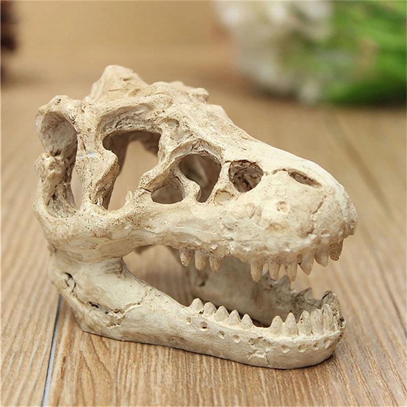 Resin Crocodile Skull Terrarium Reptile Fish Tank Ornament Aquarium Decoration