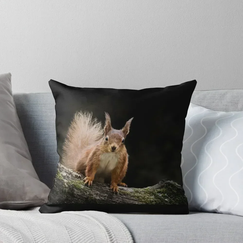 

Bright Eyed & Bushy Tailed Throw Pillow New year Christmas Pillowcase Pillow Decor Custom Cushion pillow