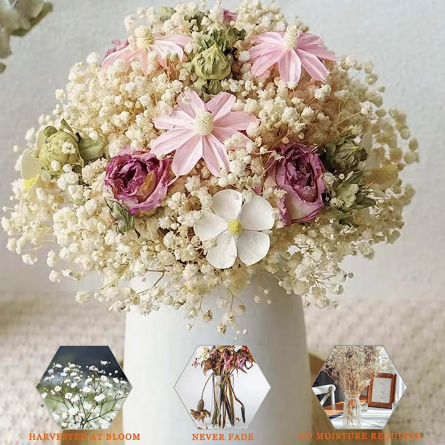 Fleurs pouvez-vous psophila Naturelles vaccées Fraîches, Bouquets de Souffle Éternelle, Cadeau de la Journée des Léons, Décoration de Mariage, Boho, pour la Maison