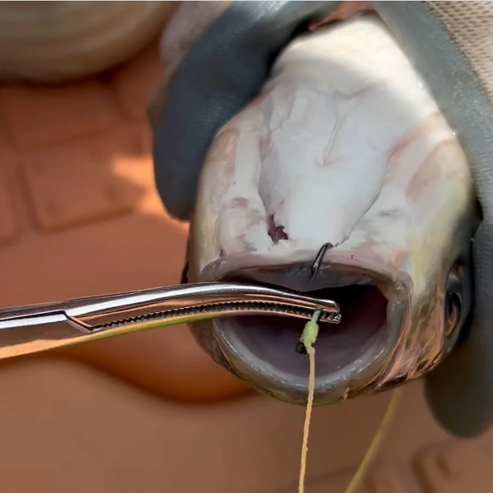 1-2 قطعة كماشة الصيد هوك النازع الأسماك التحكم Unhooking المعدات مزيل طرف منحني القطاعة الجراحية قفل كليب أداة #5