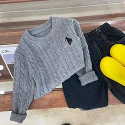 Children's Spring Knitted Sweater Thick Needle Knitted Korean Edition 2024 Autumn/Winter Boys Long sleeved Pullover Boys Top