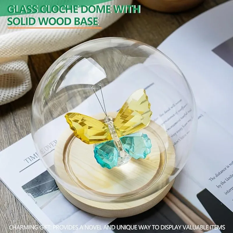 

1 упаковка, 6 дюймов и другие размеры, декоративная стеклянная банка-колокольчик, круглый стеклянный клош, купол для дисплея для растений, сувениров, коллекционные предметы