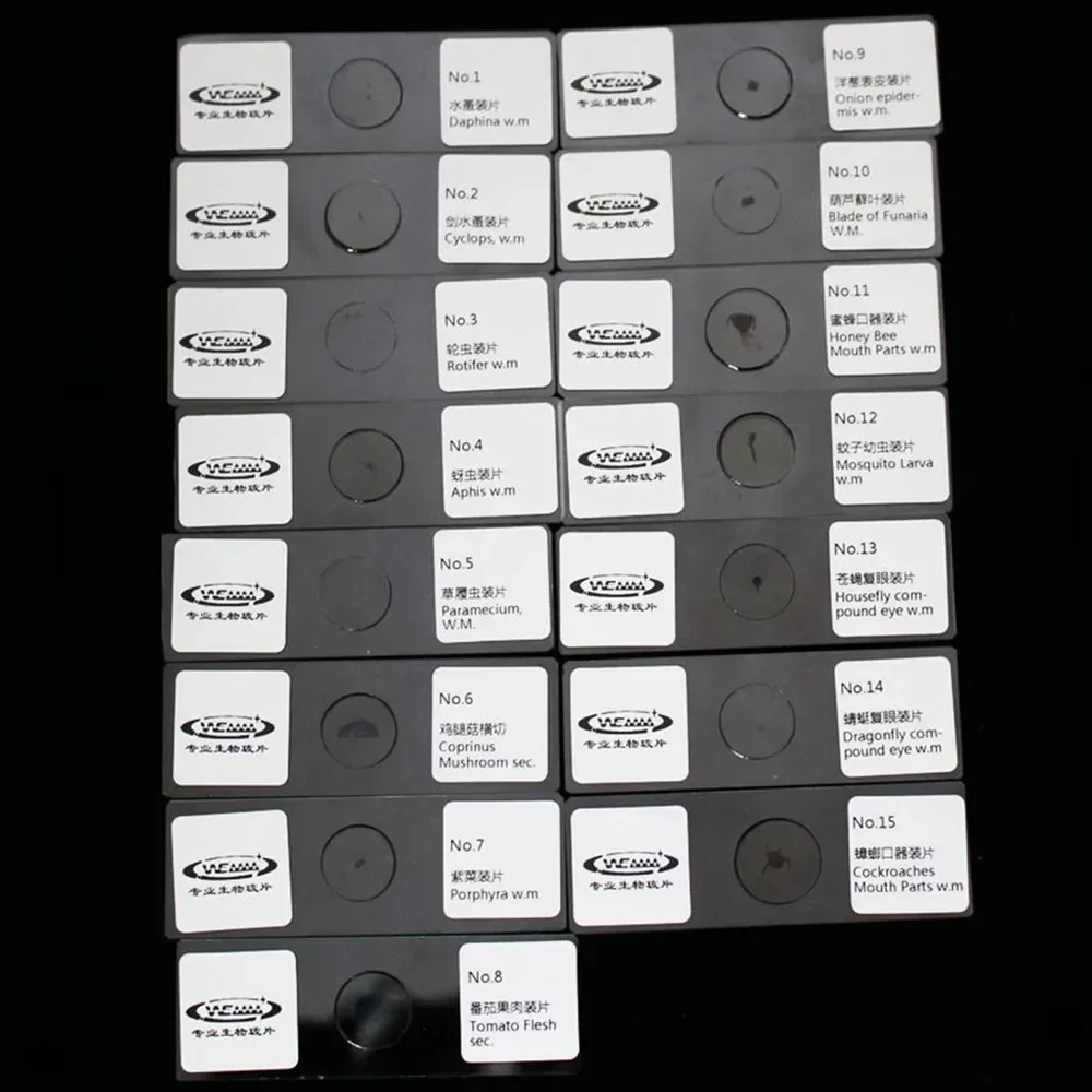 15PCS Specialized Research Plant und Animal Sections Mikroskop Objektträger Objektiv Accesorio Telescopio Microscopio Laboratorio Tools