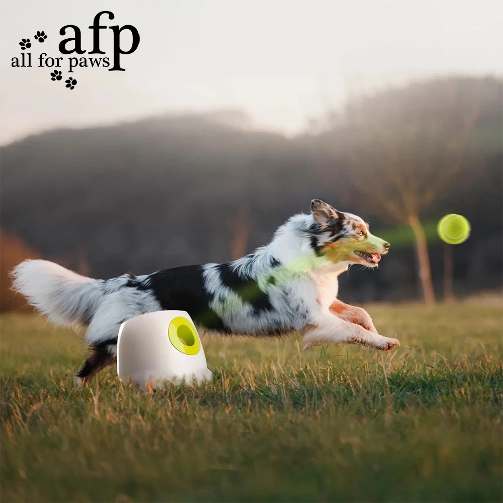 AFP Maxi Hype Automatic Ball Thrower For Dogs Interactive Dog Ball Launcher Machine With 3 Tennis Balls Wireless Electronic Toys