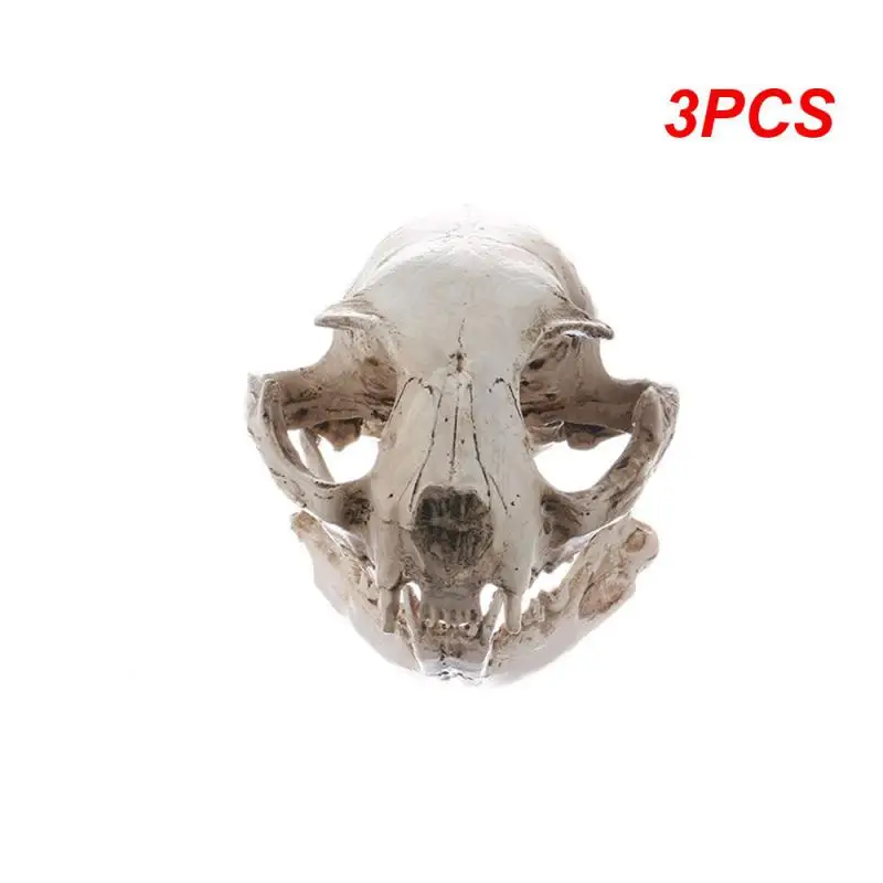 

3PCS Realistic Cat Skull, Resin Skeleton Head Scale Model Decorations, 6.5 x 6.5 x 9cm