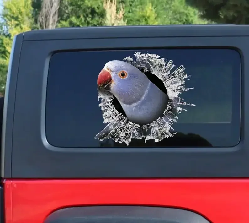 

Violet Ringneck sticker , parrot sticker, funny decal, Violet Ringneck decal