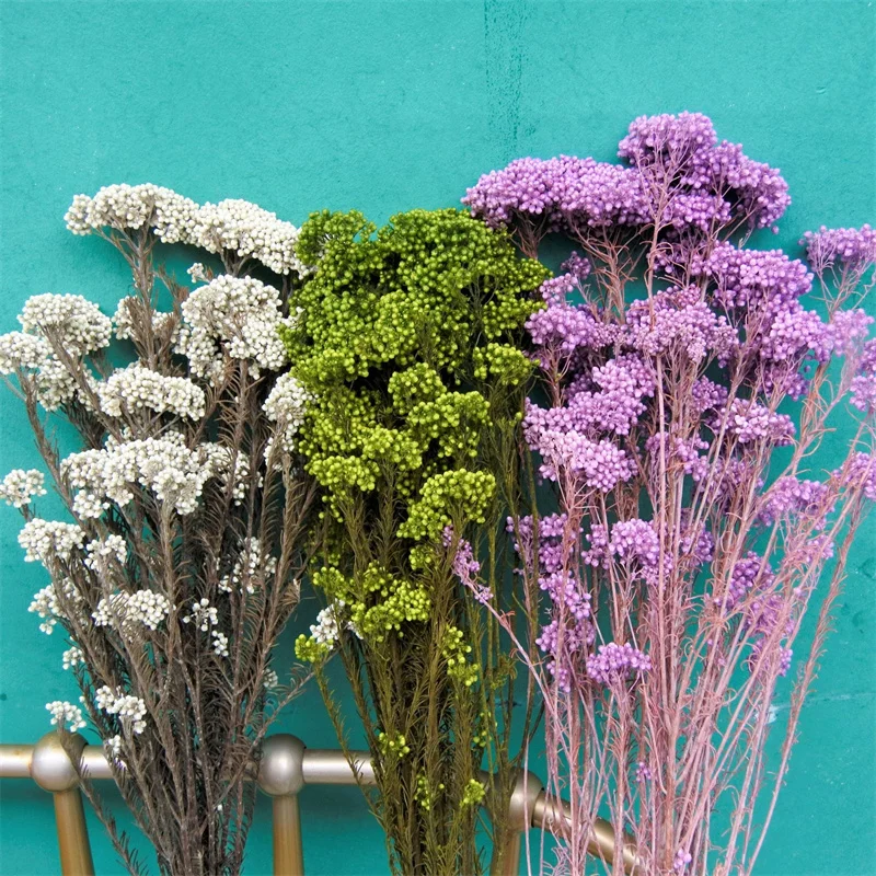 Dry Rice Flower Eternelle Millet Flowers DIY Home Party Decor Natural Dried Flower Wedding Arrangement Centerpieces Decoration