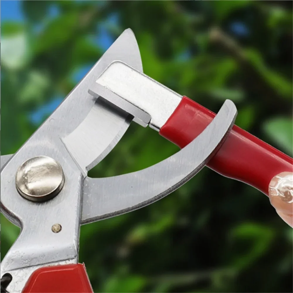The Best Scissors Sharpener for Home and Garden Use – Real-World Testing After 6 Months of Daily Use