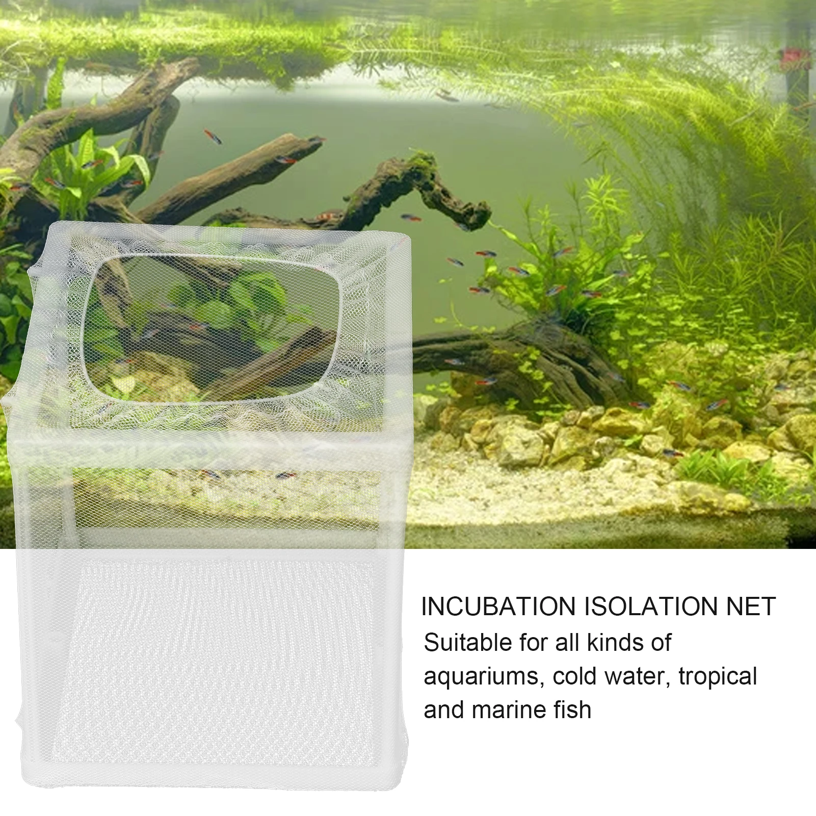 

Aquarium Fish Breeder Box Aquarium Fish Breeder Box Isolation Box Breeder Hatchery Incubator with Suction Cup Fish Isolation Box