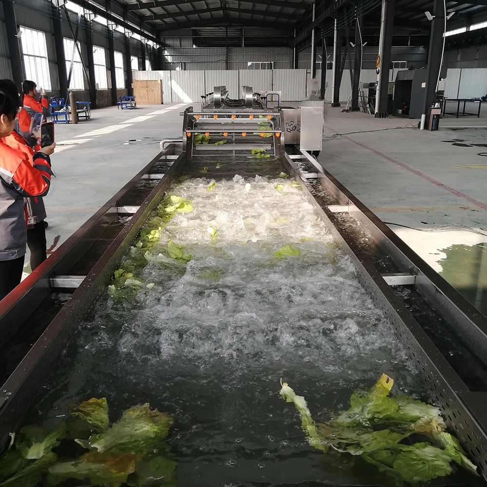 Automatic Multifunctional Fruit Vegetable Washing Machine with Motor and Pump for Vegetable Processing Plant Nuts/Corn Cleaning